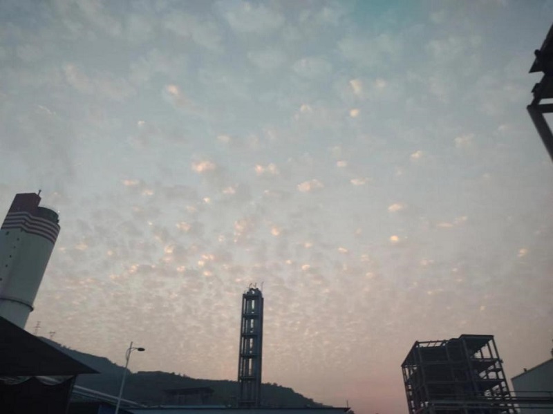 091673249531211363.jpg image1.jpeg