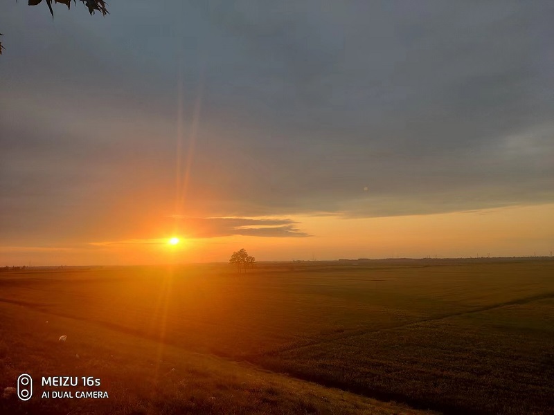 131676255203198489.jpg 0.jpg