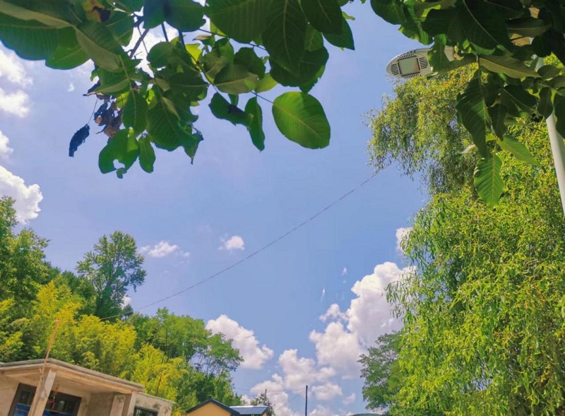 171676619714662908.jpg image1.jpeg