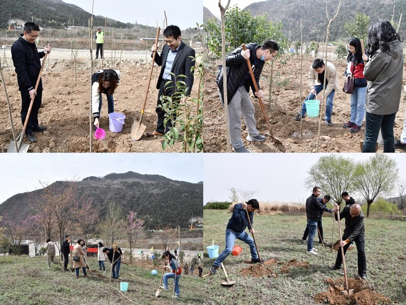 201679312339202023.jpg image2.jpeg