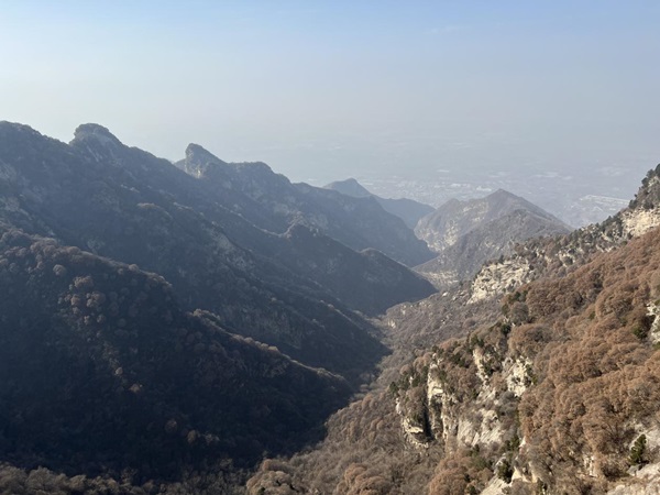 171700214977853596.jpg image1__1.jpeg