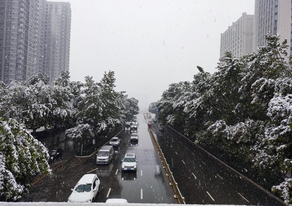 171700215136173739.jpg image1__1.jpeg