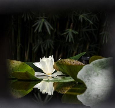 131702453972735727.jpg 劉永華.jpg