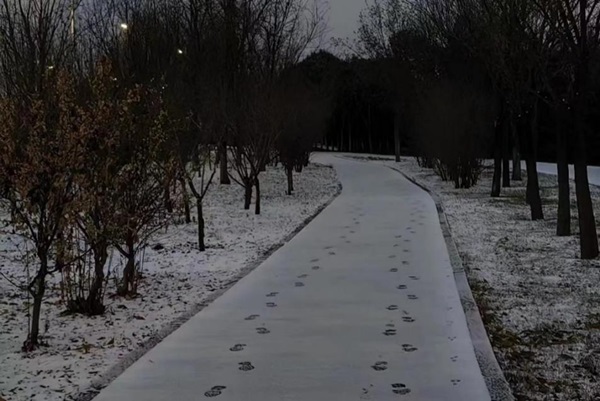 191705630888898480.jpg image1__1.jpeg