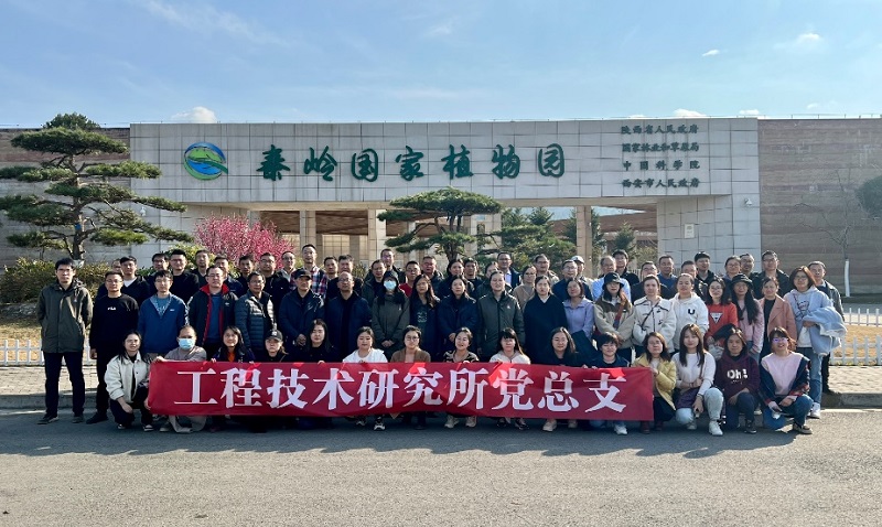 141710401644260597.jpg image1.jpeg