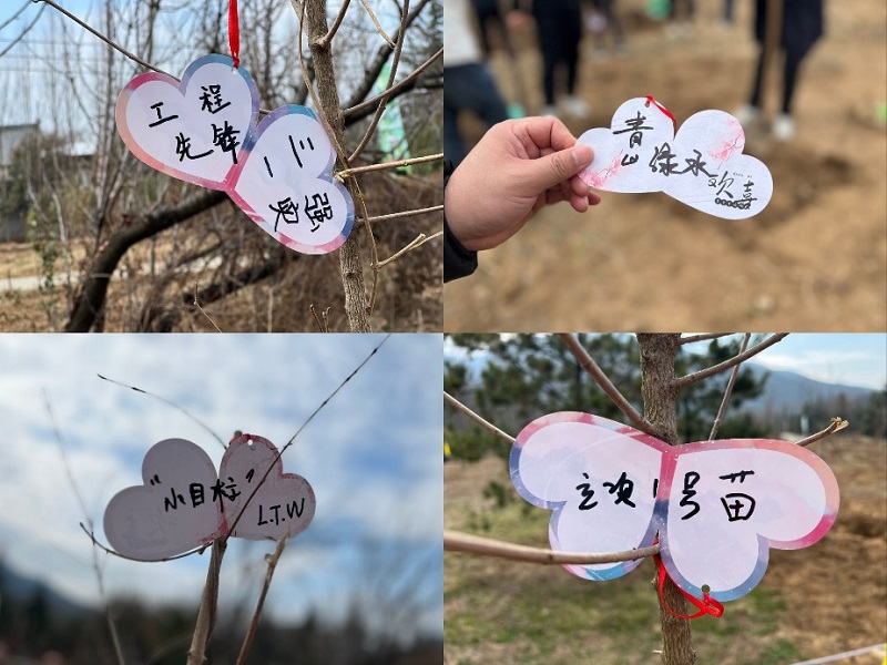 141710401675747447.jpg image4.jpeg