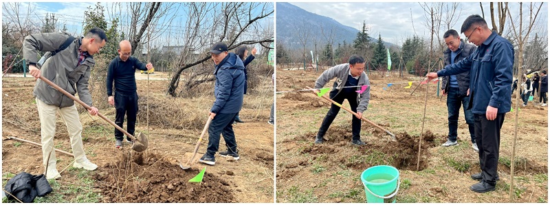 141710401698259730.jpg 拼接.jpg