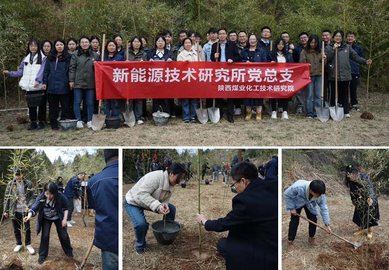 151710492882774157.png image2.png