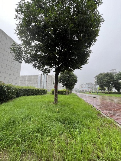 241721801557571781.jpg 26BF5BDA3B6D7FE5E05E54B2535AF2DDimage1.jpeg