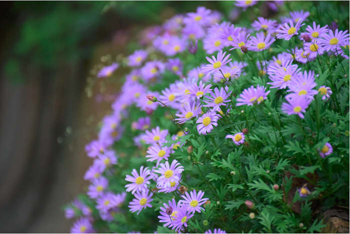 191742349265418137.png image2.png