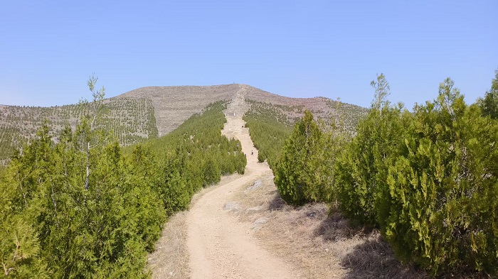 311743400425119785.jpg 登豐山.jpg