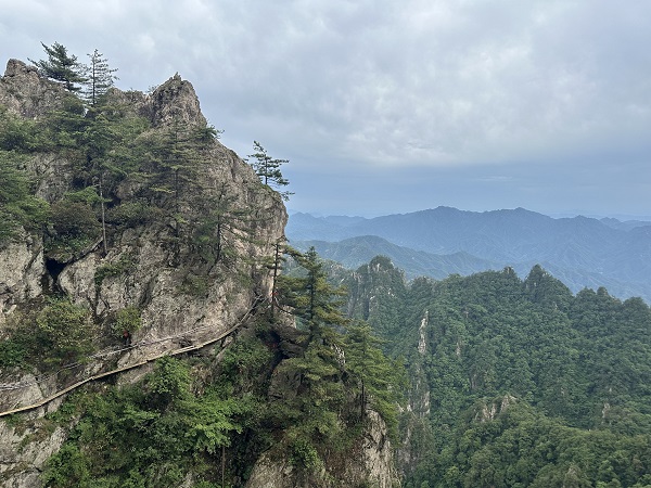 251750840004210763.jpg 微信圖片_20250625150509.jpg